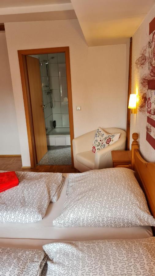 Hotel Kartaeuser Hof Mainz Bodenheim Zewnętrze zdjęcie